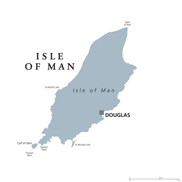 Isle of Man gray political map — Stock Vector