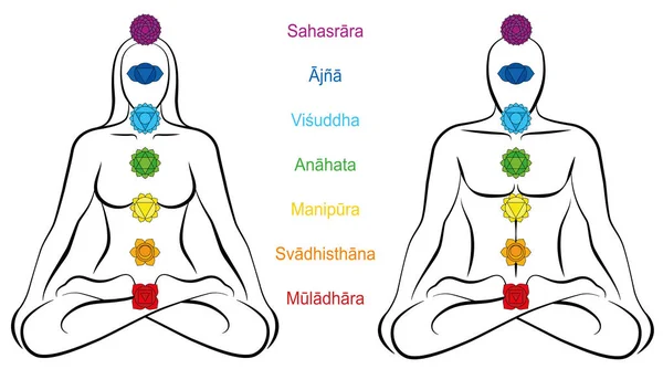 Sju stora chakran Sanskrit namn Kvinna Man par — Stock vektor