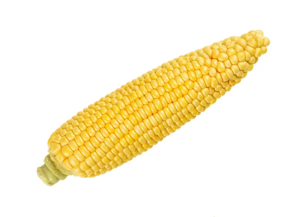 Mazorca descascarillada de maíz dulce, aislada, sobre blanco — Foto de Stock