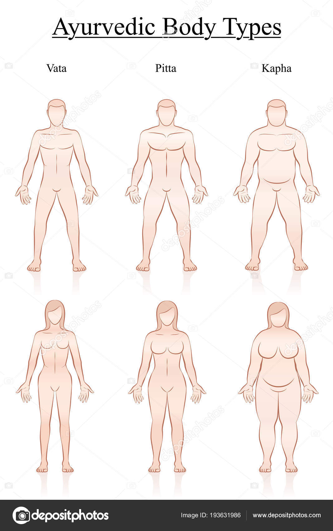 6 Types of Body Fat - Vejthani Hospital