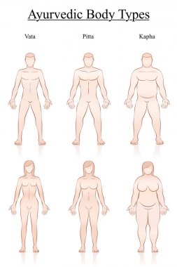 Vücut ağırlığı. İnce, normal ve şişman erkekler ve kadınlar. Ayurveda vücut Anayasa tipleri - vata, pide, kapha. Üç çift farklı anatomi ile anahat vektör çizim.