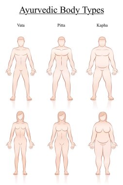 Body weight. Slim, normal and fat men and women. Ayurvedic body constitution types - vata, pitta, kapha. Outline vector illustration of three couples with different anatomy. clipart