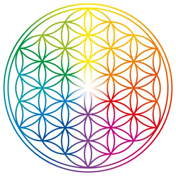 Flower of Life in rainbow colors — Stock Vector