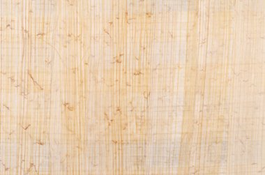 Papirüs yüzey makro fotoğraf