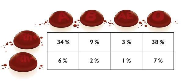 Частотна діаграма груп крові з найбільш поширеними та рідкісними типами крові по всьому світу у відсотках. A, B, O, AB, R+ та Rh- ілюстровані червоними 3d краплями . — стоковий вектор