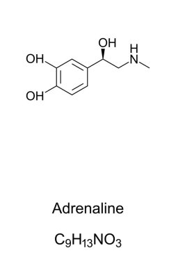 Adrenaline molecule, epinephrine skeletal formula clipart