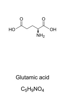 Glutamik asit molekülü, iskelet formülü.