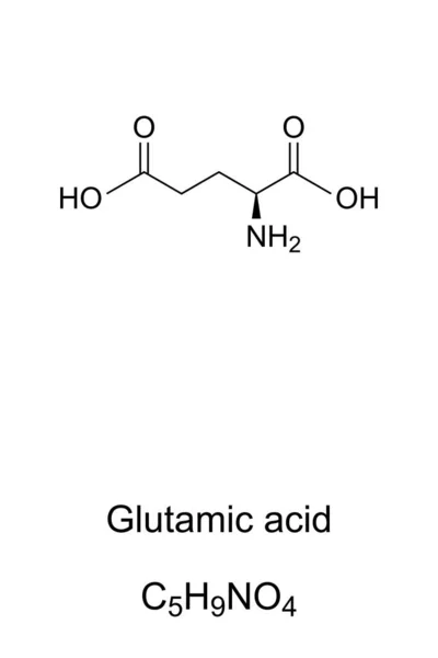 Molécula de ácido glutámico, fórmula esquelética — Archivo Imágenes Vectoriales