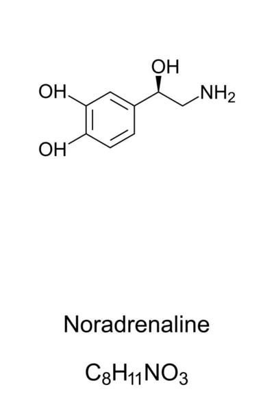 Molécula de noradrenalina, fórmula esquelética de noradrenalina —  Vetores de Stock
