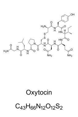 Oksitosin molekülü, iskelet formülü.