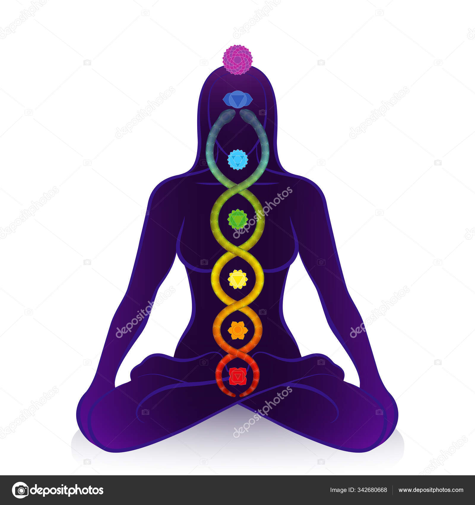 Kundalini serpente e chakras de uma mulher meditando, símbolo para o  despertar espiritual, poder de cura e equilíbrio, harmonia celestial e  relaxamento. Ilustração vetorial sobre branco . imagem vetorial de Furian©  342680668