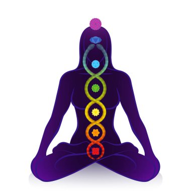 Kundalini yılanı ve meditasyon yapan bir kadının çakraları, ruhsal uyanışın sembolü, iyileştirme gücü ve dengesi, ilahi uyum ve rahatlama. Beyaz üzerine vektör illüstrasyonu.