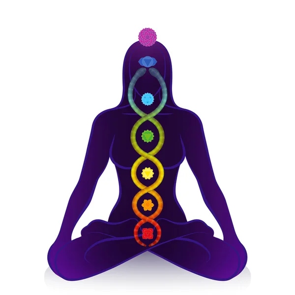 Kundalini serpente e chakras de uma mulher meditando, símbolo para o despertar espiritual, poder de cura e equilíbrio, harmonia celestial e relaxamento. Ilustração vetorial sobre branco . — Vetor de Stock