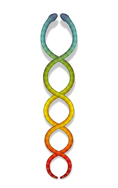 Rainbow colorido abraçando cobras. Serpentes Kundalini, símbolo esotérico de poder e equilíbrio espiritual, despertar e harmonia. Ilustração vetorial isolada sobre fundo branco . —  Vetores de Stock