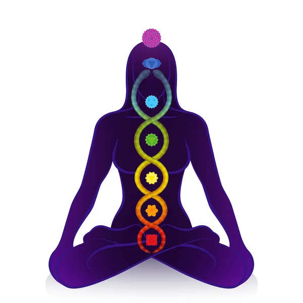Kundalini serpent and chakras of a meditating woman, symbol for spiritual awakening, healing power and balance, celestial harmony and relaxation. Vector illustration on white. — Stock Vector