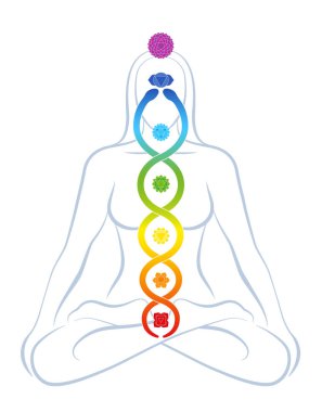 Renkli çakralar ve gökkuşağı gradyanı olan Kundalini yılanı ile yoga yapan kadın, maneviyat, denge, uyum, rahatlama ve iyileştirme gücünü sembolize ediyor. Beyaz üzerine vektör illüstrasyonu.