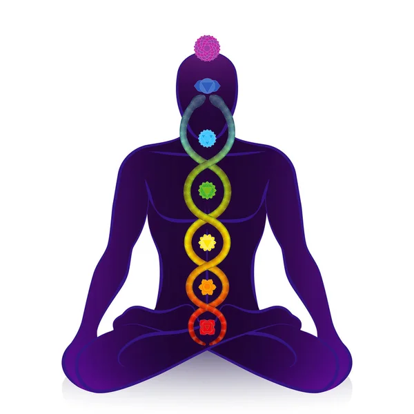 Kundalini serpent and chakras of a meditating man, symbol for spiritual awakening, healing power and balance, celestial harmony and relaxation. Vector illustration on white. — Stock Vector