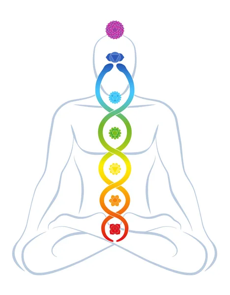 Meditating yoga man with colored chakras and rainbow gradient Kundalini serpent, symbolic for spirituality, balance, harmony, relaxation and healing power. Vector illustration on white. — Stock Vector