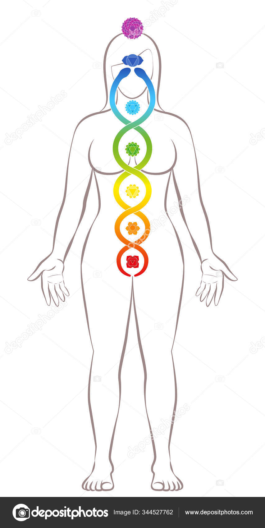 Kundalini ioga. Meditar mulher de pé com chakras e serpente Kundalini,  simbólico para a espiritualidade, equilíbrio, harmonia, relaxamento e poder  de cura. Ilustração vetorial sobre branco . imagem vetorial de Furian©  344527762