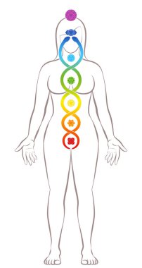 Kundalini yogası. Çakraları ve Kundalini yılanıyla meditasyon yapan kadın, maneviyat, denge, uyum, rahatlama ve iyileştirici gücü simgeliyor. Beyaz üzerine vektör illüstrasyonu.
