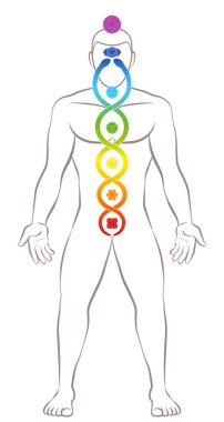 Kundalini yogası. Çakralı ve Kundalini yılanlı meditasyon yapan adam, maneviyat, denge, uyum, rahatlama ve iyileştirici gücü simgeliyor. Beyaz üzerine vektör illüstrasyonu.