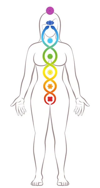 Kundalini yoga. Mediterende staande vrouw met chakra 's en Kundalini slang, symbool voor spiritualiteit, balans, harmonie, ontspanning en helende kracht. Vector illustratie op wit. — Stockvector