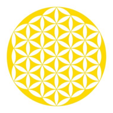Ters çevrilmiş Altın Hayat Çiçeği. Geometrik figür, ruhani sembol ve kutsal geometri. Üst üste binen daireler simetrik yapıdaki desen gibi bir çiçek oluşturuyor. Beyazın yerine illüstrasyon. Vektör.