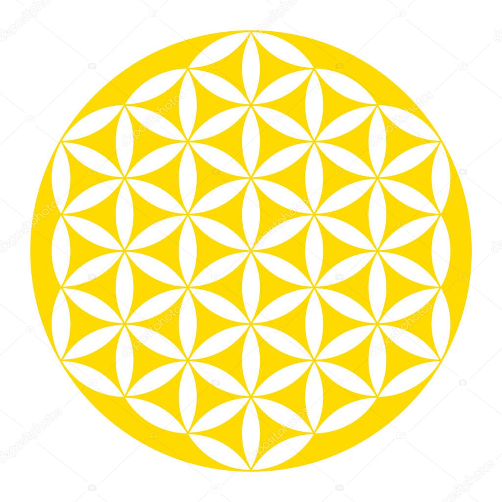 Inverted golden Flower of Life. Geometrical figure, spiritual symbol and Sacred Geometry. Overlapping circles forming a flower like pattern with symmetrical structure. Illustration over white. Vector.
