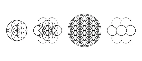 Livets Blomma Säd Och Livets Ägg Geometriska Figurer Andliga Symboler — Stock vektor