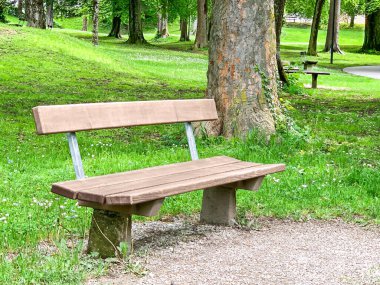 Yazın bir şehir parkında boş bir ahşap bank. Birden fazla insanın aynı anda oturabileceği, ahşaptan yapılmış uzun bir koltuk. Minnesheimpark 'ta. Obergnigl, Salzburg, Avusturya, Avrupa 'daki yeşil halk parkı. Fotoğraf..