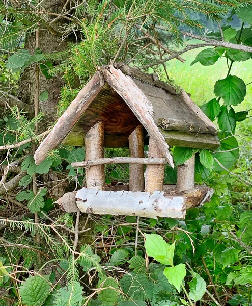 Alimentatore Uccelli Legno Anticato Appeso Ramo Albero Giardino Estate Anche — Foto Stock