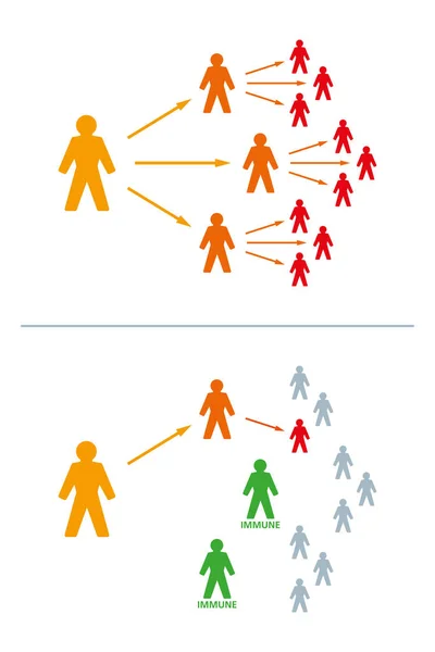 Les Personnes Immunisées Immunisées Peuvent Arrêter Une Épidémie Nombre Personnes — Image vectorielle