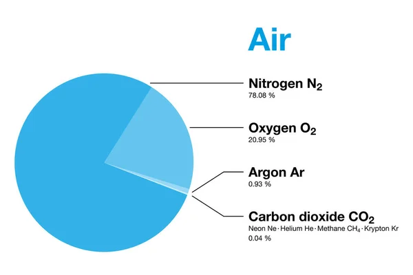 Luft Zusammensetzung Der Erdatmosphäre Nach Volumen Ohne Wasserdampf Trockene Luft — Stockvektor