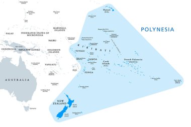 Polinezya, Okyanus 'un subrejisi, politik harita. Orta ve güney Pasifik Okyanusu 'na dağılmış 1000' den fazla adadan oluşan bir bölge. İngilizce konuş. Beyaz arka planda resim. Vektör.