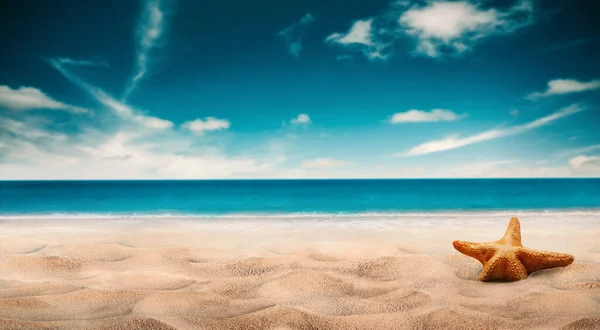 Sommar Strand Med Sjöstjärnor Suddiga Havet Bakgrunden — Stockfoto