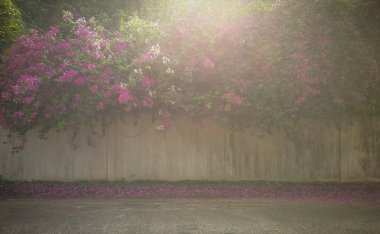 Retro çiçek arka plan