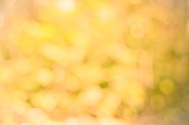 bulanık arka plan ve duvar kağıdı