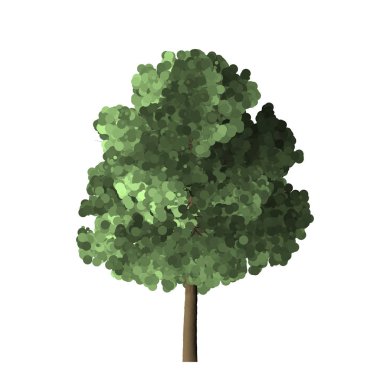 Beyaz bir arka plan üzerinde izole ağaç