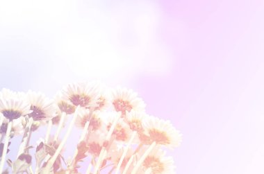 Vintage sesi çiçek arka plan