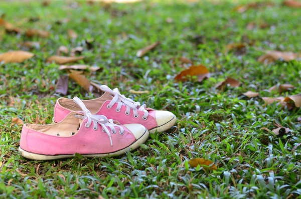 Розовые кроссовки на фоне осеннего листа . — стоковое фото