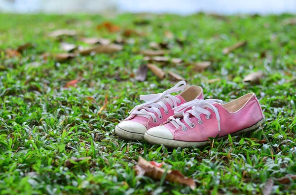 Pink sneaker on an autumn leaf background. — Stock Photo, Image