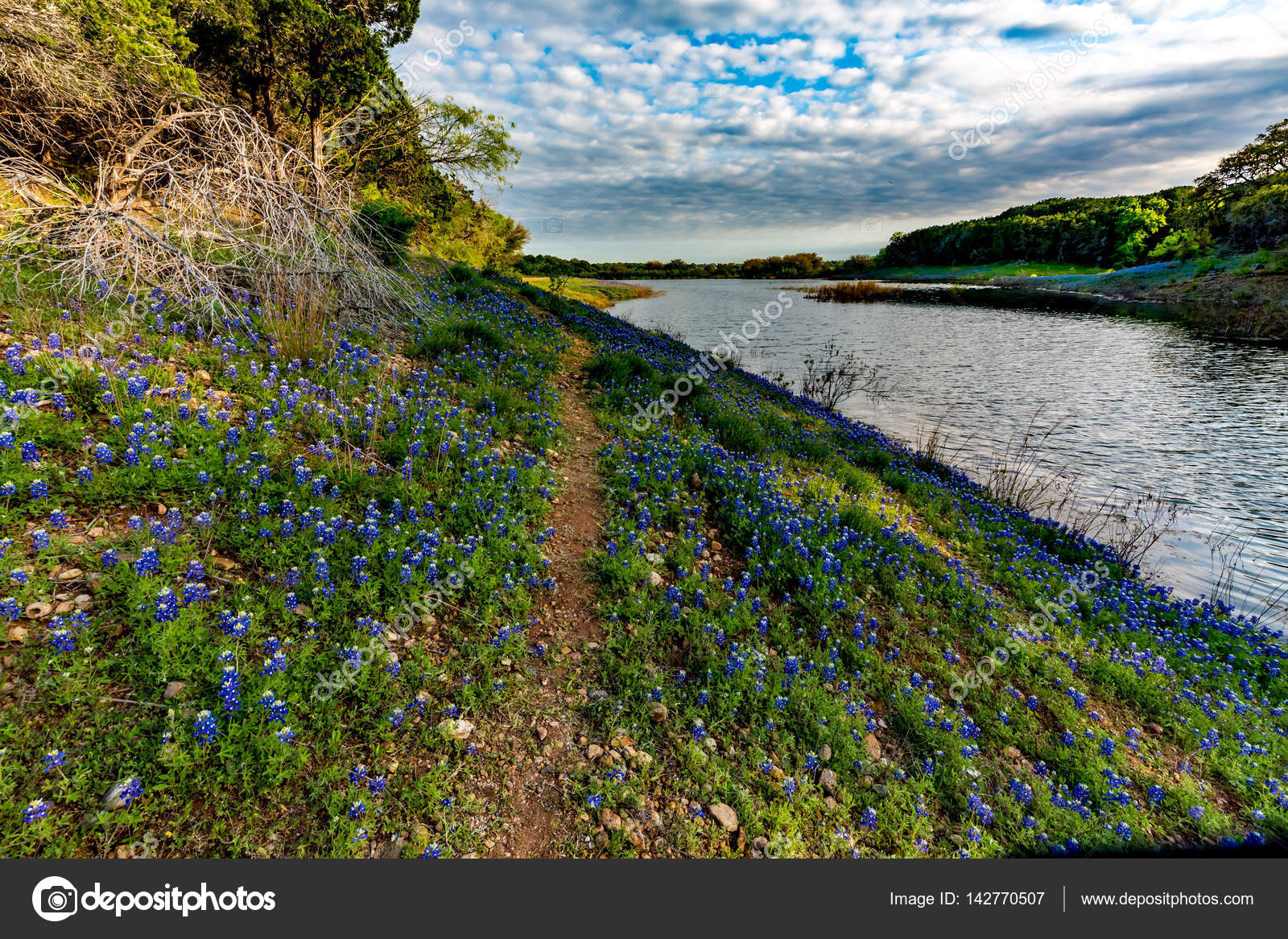 Texas at Muleshoe Bend in Texas. Stock Photo by