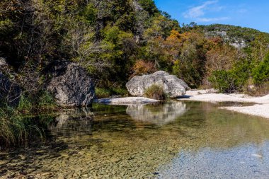 Sonbaharda yapraklar, kayıp Maples State Park Texas.