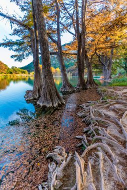 Sonbaharda yapraklar Texas kristal berraklığında Frio Nehri üzerinde.