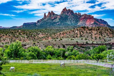 Çevre Zion National Park, Utah.