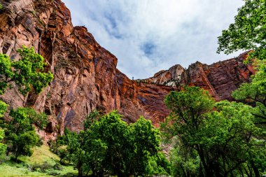 Zion Ulusal Parkı, Utah.