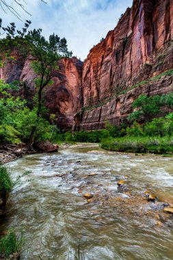 Zion Ulusal Parkı, Utah.