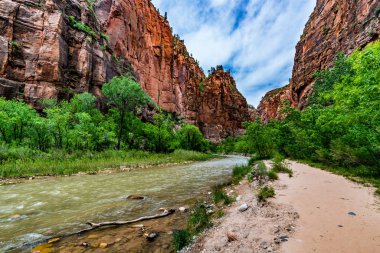 Zion Ulusal Parkı, Utah.