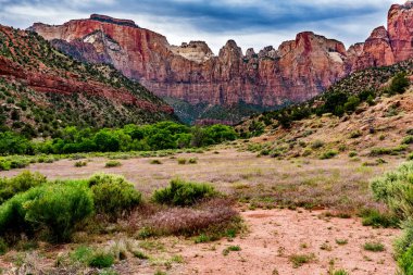 Zion Ulusal Parkı, Utah.