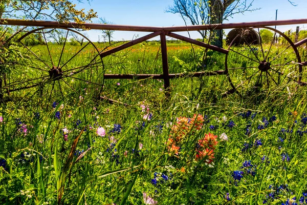 A Meadow with Round Hay Bales and Fresh Texas Wildflowers — Stock Photo, Image